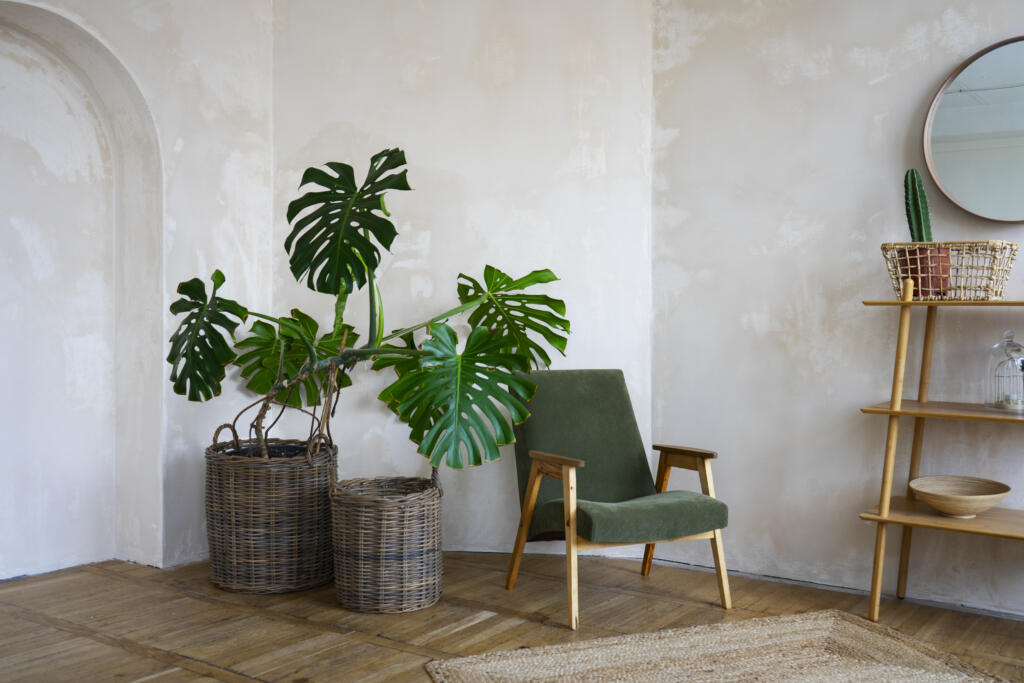 room decor with potted monstera plant » StayBooked